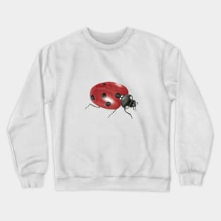 Ladybug Crewneck Sweatshirt